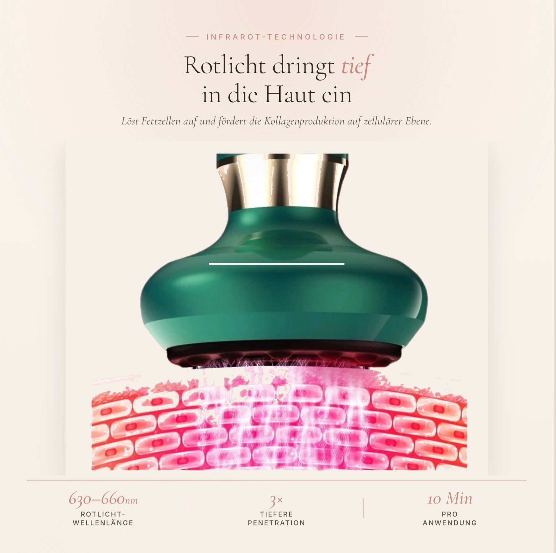 Das Evelune Ritual — Elektrisches Schröpfgerät & Anti-Cellulite Öl